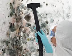 Best Mold Removal for HVAC Installations  in St Augusta, MN